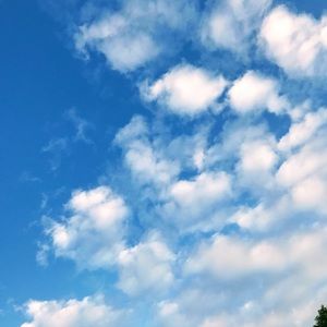 Meet your Posher, Gretchen